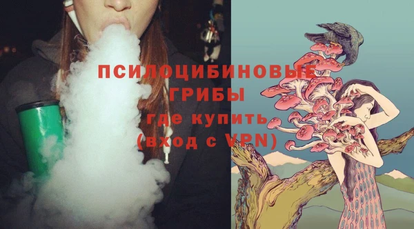 бутират Алексин