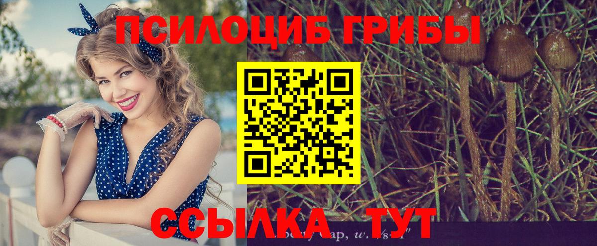 LSD-25  ГАШ  Каннабис  Героин  Чусовой  ЭКСТАЗИ  Вход с VPN  МДМА  ГАШИШ  Меф МЯУ МЯУ кристаллы  НБОМе  Альфа ПВП СК   Купить наркоту  Кокаин  Меф МЯУ МЯУ 